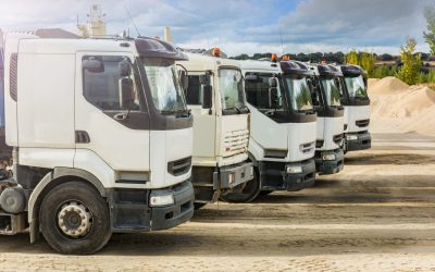 Legal Counsel on When to Pay a Traffic Fine vs. Dispute