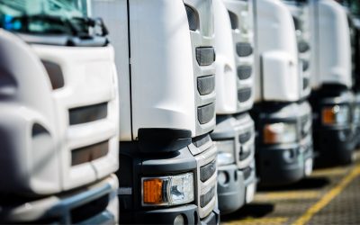 Why Administrative Delays Often Start With Vehicle Licensing Problems