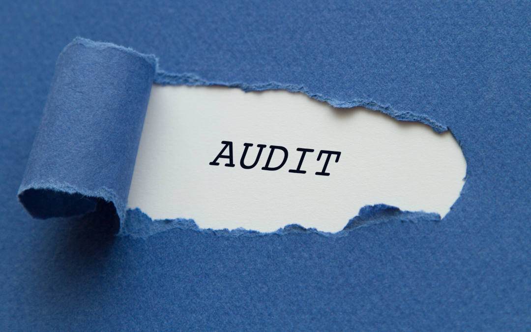 Why Fleet Licence Audits Should Be Part of Every Compliance Strategy